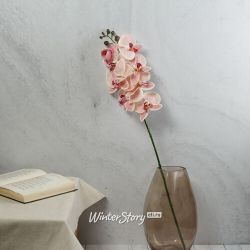 Kaemingk / Artificial flower Orchid Jacqueline 77 cm
