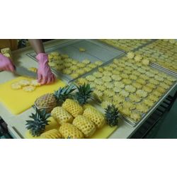 DRIED PINEAPPLE from MANUFACTURER'S FACTORY