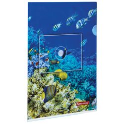 Folder area BRAUBERG "SEA WORLD", A4, 150 micron, color printing