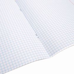 BRAUBERG / Notebook subject DARK 48 sheets, glossy varnish, ALGEBRA, cage, tip / 10 pcs.