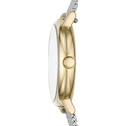 Skagen / Signatur SKW2910 watch