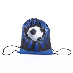 Shoe bag PYTHAGORAS 1 office, 42х34 see "Sports"
