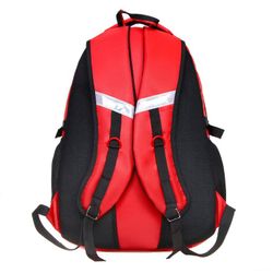 Calligrata / Backpack 47х32х16 cm