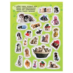 Rosman / Album of stickers "100 stickers. Dogs"