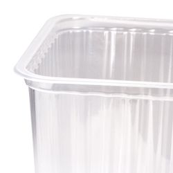STIROLPLAST / Disposable containers 2000 ml, SET of 50 pcs., WITHOUT LIDS, 179х132х125 mm, PP, transparent (covers 605091)