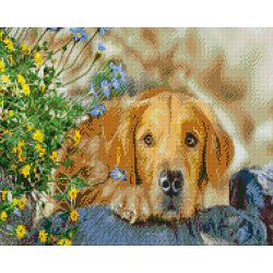 Опт-картина / Mosaico diamante, 40x50, strass quadrati Sguardo triste