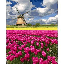 Опт-картина / Painting by numbers 40x50 Tulips