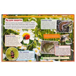 Умка / Umka / Encyclopedia "Poisonous Creatures"