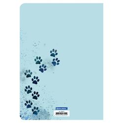 BRAUBERG / Notebook 60 l. checkered cover SoftTouch, beige paper 70 g / m2, stitching, B5 (179x250 mm), NEUTRAL / 4 pcs.