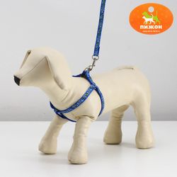 Пижон / Dude / Set "Star bones", width 1 cm, blue