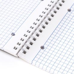 BRAUBERG / Notebook A4, 96 sh., ECO, tarak, kafes, karton kapak, MONOKROM 2/8 adet.