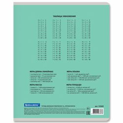 BRAUBERG / Notebook 12 y. CLASSIC NEW large cage, cardboard cover, GREEN / 20 pcs.