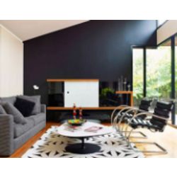 Paint acrylic interior washable Black Truffle PALIZH 2.9 KG