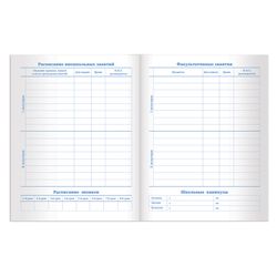 BRAUBERG / Diary 1-11 class 40 l., Hard, glossy lamination, "Beach" / 10 pcs.
