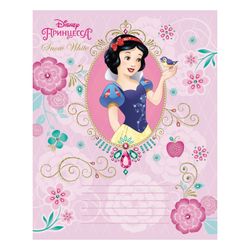 HATBER / Notebook 12 sh., Cage, foil stamping, "Princess-DISNEY" / 20 pcs.