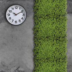Greengo / Decorative panel, 40 × 60 cm