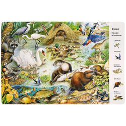Умка / Umka / Book "Wimmelbuch. Animals"