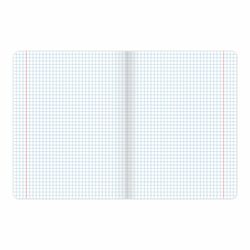 Альт / Notebook subject NEW CLASSICS 48 sheets, cardboard cover, HISTORY, cell / 10 pcs.
