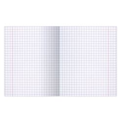 BRAUBERG / Notebook GREAT NAMES. Archimedes, 12 p. large cage, thick paper 80 g / m2, tinted offset cover / 20 pcs.
