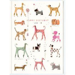 TURNOWSKY / Postcard "Dogs"