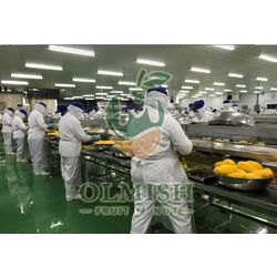 MANGO CUBES IQF FROZEN FROM THE MANUFACTURER
