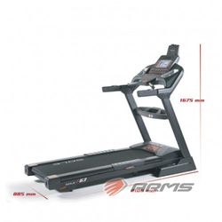 ARMS / Treadmill