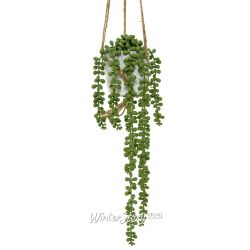 Kaemingk / Artificial succulent plant in Boston pots 15 cm