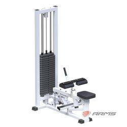 ARMS / Seated Calf Machine