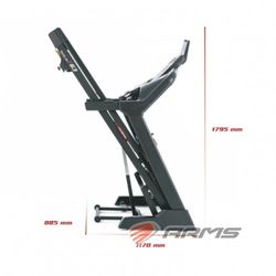 ARMS / Treadmill
