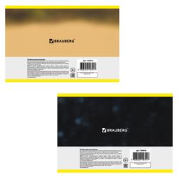 BRAUBERG / Album for drawing "Wild animals" (2 types), 40 sheets of A4, 200x283 mm, staple, cardboard cover