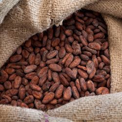 Cocoa beans
