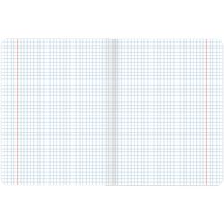 BRAUBERG / Notebook subject COLOR 48 sheets, matte lamination, varnish, 70 g / m2, SOCIETY, cage, tip / 10 pcs.