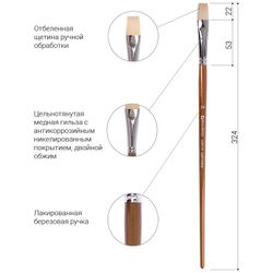 Brush art is a professional ART BRAUBERG CLASSIC, bristle, flat No. 14, long handle