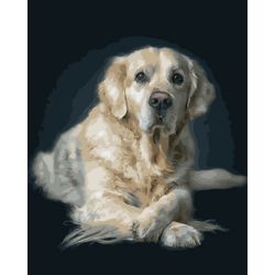 Опт-картина / Malen nach Nummer 40x50 White Retriever