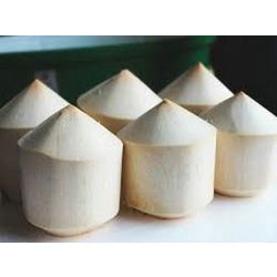 Coconut