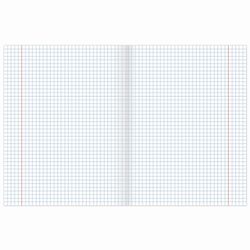 BRAUBERG / Notebook subject DARK 48 sheets, glossy varnish, ALGEBRA, cage, tip / 10 pcs.