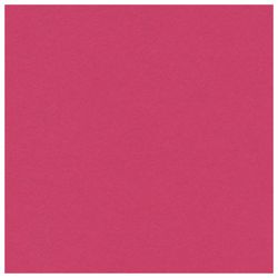 Cartoncino colorato A4 non patinato (opaco), MAGIC, 10 fogli da 10 colori, in cartella, PIFAGOR, 200x290 mm, "Fox"