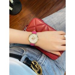 Salvatore Ferragamo / 瑞士手表 New Minuetto SF8200219