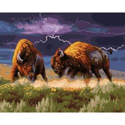 Опт-картина / Pittura con numeri 40x50 Terribile lotta