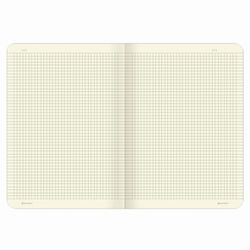BRAUBERG / Dizüstü Bilgisayarlar 60 l. ekoseli düz suni deri, SET 2 parça, dikiş, B5 (179x250 mm), VIVA