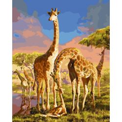 Опт-картина / Tranh theo số 40x50 Hươu cao cổ