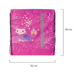 Bag for shoes INLANDIA, 1 compartment, reflective strip, with the mesh 46 * 36 cm, the "Owls"