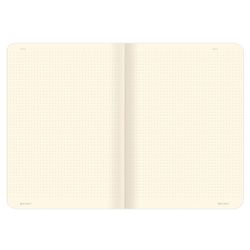 BRAUBERG / Notebooks 60 l. point to point cover SoftTouch, SET of 2 pcs., beige paper 70 g / m2, stitching, B5 (179x250 mm), NIGHT
