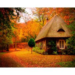 Опт-картина / Painting by numbers 40x50 House in the autumn forest