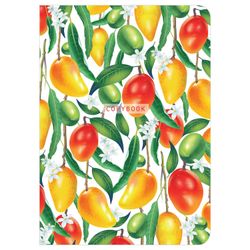 BRAUBERG / Cahiers 60 l. couverture à carreaux SoftTouch, SET 2 pcs., papier beige 70 g/m2, couture, B5 (179x250 mm), FRUIT