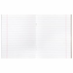 BRAUBERG / Notebook subject LEARNING LIGHT 48 sheets, cardboard cover, RUSSIAN LANGUAGE, cage, ECO prompt / 10 pcs.
