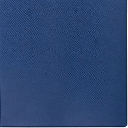 अदिनांकित डायरी A5 (138x213 मिमी) BRAUBERG "इगुआना", सरीसृप त्वचा, 160 शीट, गोल्ड कट, गहरा नीला