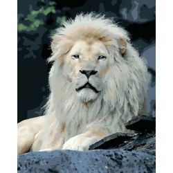 Опт-картина / Pittura con numeri 40x50 Leone bianco