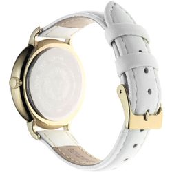 Anne Klein / Watches Daily 2790CMWT
