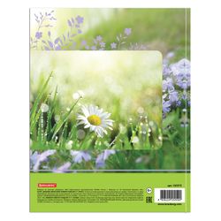 BRAUBERG / Diary 5-11 Grade 48 l.，坚硬、有光泽的层压板，带有暗示，“可爱的兔子”/ 10 件。